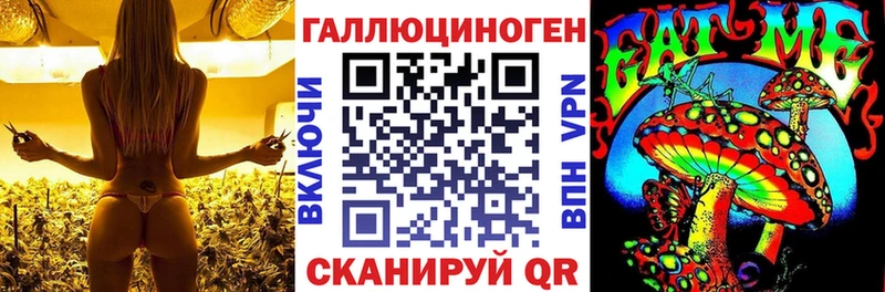 Псилоцибиновые грибы мицелий  площадка как зайти  Гуково  как найти  
