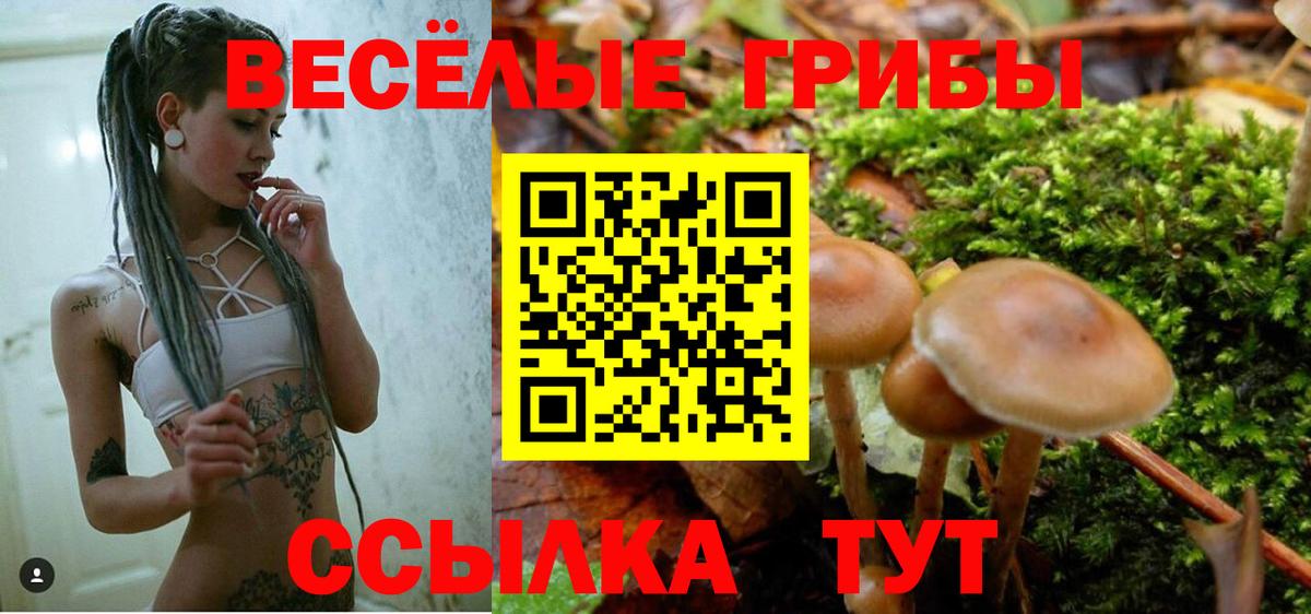 где найти наркотики  Галлюциногенные грибы мухоморы  Вход с VPN  Гуково 